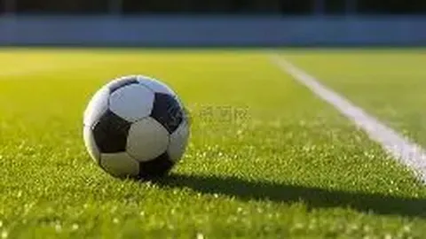 罗鸿解读：孙颖莎过热追捧引热议